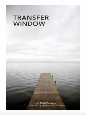cover image of Transfer Window